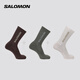 薩洛蒙（Salomon）男女款 戶外運動休閑舒適透氣長筒襪子 EVERYDAY CREW 3-PACK 銀灰云 C26284 M