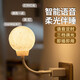 殼卿智能語(yǔ)音燈小夜燈月球usb即插即用臥室床頭插電夜燈宿舍專(zhuān)用母嬰燈 智能語(yǔ)音月球燈【白色】