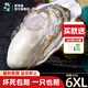 鮮海道【活鮮】鮮海道生蠔  乳山牡蠣 新鮮海蠣子生鮮貝類 送人優(yōu)選6XL號凈重9斤