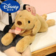 迪士尼（Disney）綠光派對趴款拉布拉多小狗公仔賽特仿真金毛狗狗玩偶兒童抱枕玩具 趴拉布拉多 50厘米