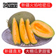 覓式新疆哈密瓜大棚火焰蜜瓜西州蜜25號(hào)新鮮水果 2個(gè)禮盒裝（6-7斤）