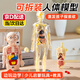 奇純兒童早教玩具初中生物模型骨骼骨架構(gòu)造人體生命科醫(yī)學器官臟解剖 【透明全身骨骼】簡裝