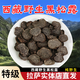 野生黑松露干片高原特產(chǎn)松露菌黑松露菌菇豬拱菌紋路清晰營養(yǎng)豐富 黑松露 250克