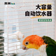 NES鸚鵡水壺小鳥(niǎo)用飲水器虎皮牡丹玄鳳喂水器自動(dòng)出水喂食器用品大全 橫豎絲240ML飲水器