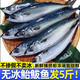 鮮器青占魚(yú)鮐鲅魚(yú)青魚(yú)馬鮫魚(yú)青花魚(yú) 單凍凈重無(wú)冰海捕船凍 3-4條/斤 凈重5斤大號船凍
