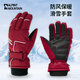 ALPINT MOUNTAIN防風(fēng)防寒保暖防潑水手套男士冬季滑雪騎行騎車(chē)摩托車(chē)防滑加厚手套
