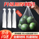 鑄固 網(wǎng)兜 水果網(wǎng)袋塑料手提網(wǎng)眼包裝尼龍網(wǎng)編織袋 40cm白色加厚100個