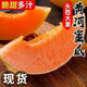 黃河蜜瓜 冰淇淋奶香黃金蜜瓜 當季新鮮蜜瓜甜瓜 黃河蜜瓜8-9斤家庭裝