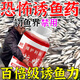 魚(yú)餌餌料釣魚(yú)神器釣魚(yú)小藥野釣黑坑競技添加劑通殺信息素釣魚(yú)餌料 特快效釣魚(yú)藥【1瓶裝】
