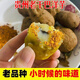 貴州云南昭通干巴洋芋黑心巧家干巴土豆去往年帶皺紋老土豆洋芋 3斤送蘸料