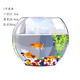 扁口精致小魚(yú)缸小型家用透明玻璃水培植物辦公室裝飾扁口橢圓魚(yú)缸 1號扁魚(yú)（裸缸）
