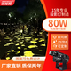潔能輝落葉3d動態(tài)特效投影燈logo店鋪門頭戶外網(wǎng)紅景點(diǎn)亮化氛圍射燈定制 80W靜態(tài)氛圍落葉-防水