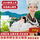 張家界張美麗莓茶湖南永順500克莓茶特級養生2025新茶正宗高山龍須湘西 高品質(zhì)【250g芽尖莓茶】 湖南特產(chǎn)芽尖養生藤茶京官方店?yáng)|自旗艦營(yíng)