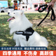 寵德多狗繩狗狗牽引繩遛狗繩胸背帶狗鏈子防爆沖中大型犬金毛拉布拉多 黑色 M（建議24-46斤）