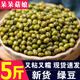 呆呆菇娘 非轉基因黃豆5斤新黃豆農家自種黃豆打豆漿笨黃豆打豆漿做豆腐E 明綠豆 2500g*1袋 【5斤】