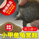 春錦秋鯉甲魚飼料鱉飼料水魚飼料小甲魚開口鱉糧龜糧小烏龜開口糧通用糧 小顆粒[450克]