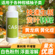 黃龍病CAS黃化癥黃化全水溶不堵針管柑橘柚子沙糖桔打吊瓶專(zhuān)用 CAS 280克/瓶
