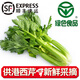 新鮮西芹【供港蔬菜-綠色食品】京配買菜 健康輕食榨汁水果芹菜 3.5斤水果西芹 家庭暢享300g*6份