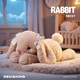 嬰果小島兔子玩偶毛絨玩具布娃娃公仔安撫兒童生日禮物送女孩子陪睡覺(jué)抱枕 Jimny兔子玩偶 35厘米