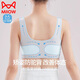 貓人少女文胸青春發(fā)育期兒童內衣二三階段初高中生運動(dòng)防震背心 XL
