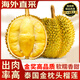 果躍霖金枕榴蓮泰國進口新鮮果帶殼巴掌金枕頭應(yīng)季水果批發(fā)整箱 凈2.5-3斤|【劃算】