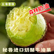 鮮級佳秘魯進口牛油果鱷梨非即食寶寶營養(yǎng)輔食多地次日達新鮮水果當(dāng)季 秒殺特惠 100-140g 【6個裝】
