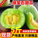 爾蝶山東綠寶甜瓜當(dāng)季新鮮水果整箱時令小香瓜小脆瓜羊角甜綠皮瓜現(xiàn)摘 精選5斤裝