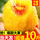 黃六爺四川新鮮紅心獼猴桃30枚大果奇異果當季孕婦水果蒲江現摘翠香包郵 【老樹(shù)甜果 軟后爆甜】 24枚【中果70-90g】性?xún)r(jià)比高