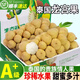 泰國(guó)黃皮龍宮果椰色果愛(ài)情果龍貢果新鮮稀有進(jìn)口孕婦寶寶水果順豐 1斤 整串裝