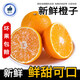 汀若國產(chǎn)橙子 新鮮水果生鮮 整箱約5.5-4.7斤/凈含量2000g