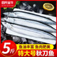 目無(wú)全牛特大號秋刀魚(yú)新鮮海捕秋刀魚(yú)冷凍海秋刀燒烤食材500g/包 秋刀魚(yú) 5斤