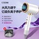 CODINI 科迪妮德國(guó)工藝高速吹風(fēng)機(jī)家用大風(fēng)力不傷發(fā)負(fù)離子靜音電吹風(fēng)吹頭發(fā)