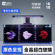 YEE超白斗魚(yú)缸玻璃多格隔離背濾免換水客廳小型生態(tài)泰國斗魚(yú)排缸 【高配帶燈】背濾斗魚(yú)缸30*16*12cm+三色燈