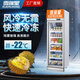 雪瑞星立式冷凍柜牛奶低溫保鮮冷藏展示柜海鮮玻璃門(mén)急凍柜超市商用冰柜 白色上置款單門(mén)(620*730*2090)