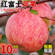 正宗山東煙臺紅富士蘋果冰糖心新鮮水果當(dāng)季現(xiàn)摘棲霞脆甜果整箱L9 9斤大果【新鮮現(xiàn)摘】