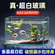 坤寧王金晶超白玻璃魚缸桌面造景小魚缸家用客廳裸缸一體缸25*16*18cm
