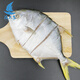 【漁大吉】金鯧魚(yú)新鮮湛江特產(chǎn)深海漁海捕海鮮禮盒金昌魚(yú)6包/箱