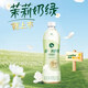 統(tǒng)一阿薩姆奶茶 飲料下午茶 休閑飲品 飲料 整箱裝 【新品】茉莉奶綠500ml*15瓶