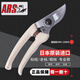 ARS130dx愛麗斯修枝剪日本原裝進(jìn)口果樹園林剪刀園藝樹枝修剪刀 日本原裝進(jìn)口130DX型 無(wú)規(guī)格