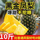 云南黑鉆鳳梨10斤大果新鮮熱帶水果鮮甜多汁當季應季黑金鳳梨菠蘿 【爆甜】含箱 5斤 4.5-2-3個(gè)