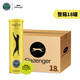 史萊辛格（Slazenger）4粒裝網(wǎng)球 鐵罐溫網(wǎng)訓練比賽用球整箱18筒 新包裝STB340973 