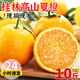 正宗桂林夏橙9斤橙子當(dāng)季水果新鮮現(xiàn)摘果凍橙冰糖甜橙臍橙整箱L5 9斤【新鮮現(xiàn)摘】