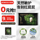巴布豆（BOBDOG）奇跡奢寵紙尿褲試用裝L碼6片（9-14kg）【品牌直供 安心品質】