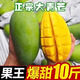 京興果海南大青芒果新鮮水果三亞特大青皮芒果當季熱帶純甜金煌芒整箱 9斤禮盒裝