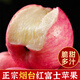 生果樂蘋果水果脆甜紅富士陜西今年新蘋果高山水果蘋果紅富士整箱脆甜 精選2斤裝