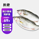 鮮馳海鱸魚新鮮冷凍海魚鮮活深海魚大號七星魚海鮮水產(chǎn)海產(chǎn)品年貨盧魚 3條新鮮海鱸魚【3斤裝】凈重