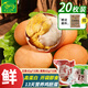 活珠子香辣40g*10枚+五香40g*10枚毛雞蛋13天新鮮雞胚蛋