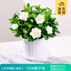 開時果 梔子花盆栽濃香型四季開花卉 陽臺花卉好養(yǎng)綠植物源頭直發(fā)包郵 仿木桶+底托【120#梔子花】