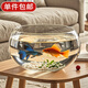 小魚(yú)缸家用小型玻璃魚(yú)缸圓形桌面金魚(yú)缸辦公桌兒童養魚(yú)缸加厚生態(tài) 小號【高清透明+加厚底座】直徑20cm 圓潤邊角不刮手 適用客廳/辦公室/陽(yáng)臺等等