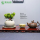 潮裕盆景高端羅漢松造型地景樹室內(nèi)植物庭院迎客松真樹老樁客廳辦公室盆景 老樁羅漢松盆景175 帶盆栽好